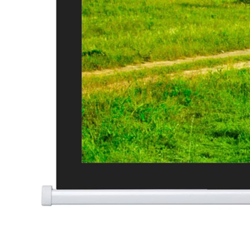 Projecta motorlerret, 16:9, 173x300, flate163x290, Mhvit, Sknat,